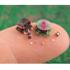 Weijie Chuangxin, a leading domestic radio frequency IC design company, is listed on the New OTC Market